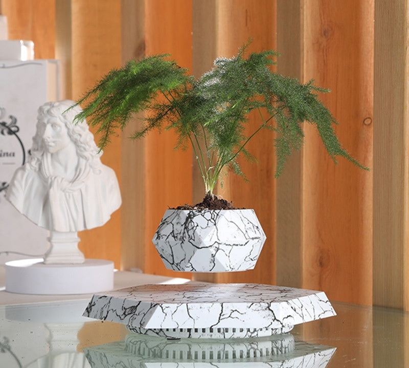 Rise X Levitating Air Plant Pot Marble Color Home Decor