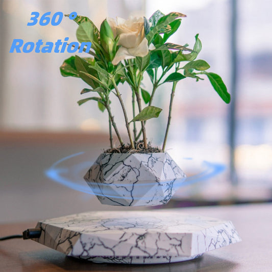 Rise X Levitating Air Plant Pot Marble Color Home Decor